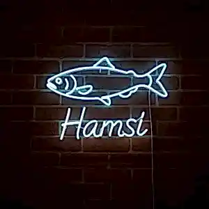 Hamsi Led Neon