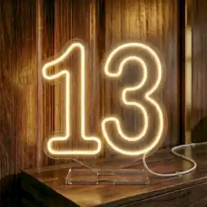Led Neon 13